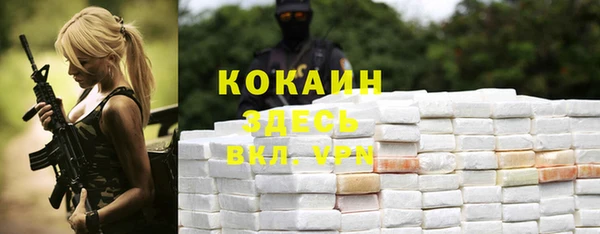мяу мяу мука Бородино