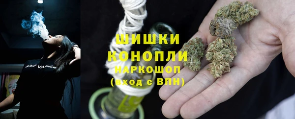 мяу мяу мука Бородино