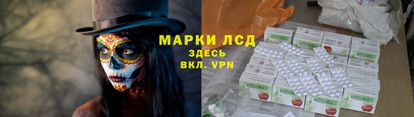 мяу мяу мука Бородино