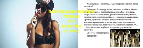 МДПВ Бугульма