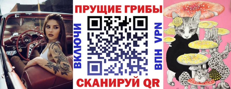 Купить  Дзержинский  Псилоцибиновые грибы Magic Shrooms 